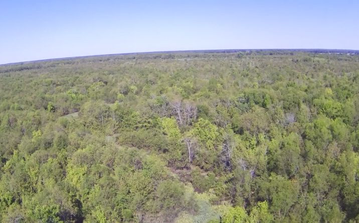 Pictures of Land property located at TBD FM 71 East, Talco, TX 75487 for sales - image #1