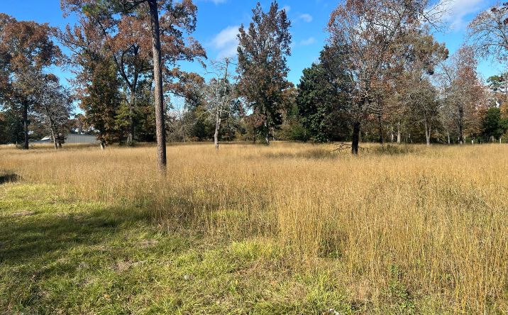 Pictures of Land property located at TBD S Houston Avenue, Livingston, TX 77351 for sales - image #1