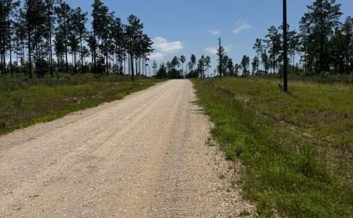 Pictures of Land property located at TBD Reveille Road, Livingston, TX 77351 for sales - image #1