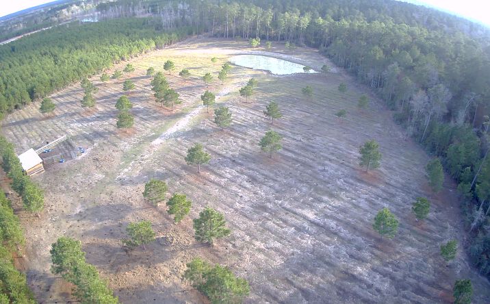 Pictures of Land property located at TBD Upper Leggett Road, Leggett, TX 77350 for sales - image #1