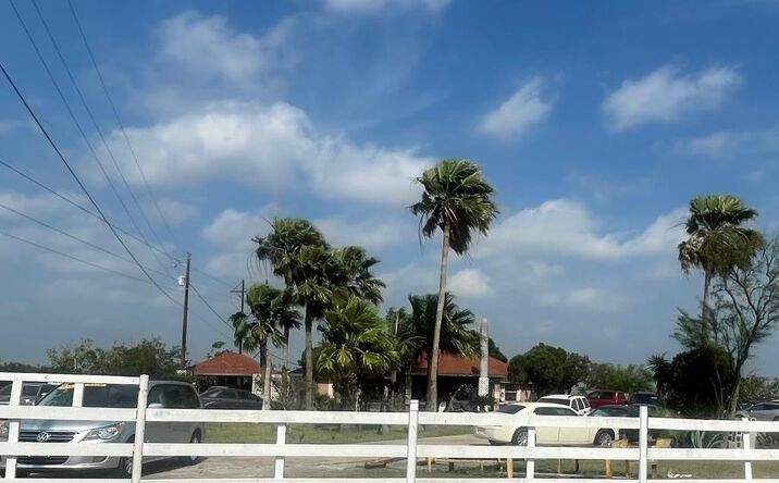 Pictures of Land property located at 6745 Paredes Line Rd., Brownsville, TX 78526 for sales - image #1