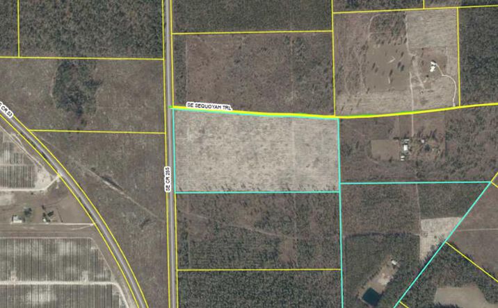 Pictures of Land property located at County Road, Lee, FL 32059 for sales - image #1