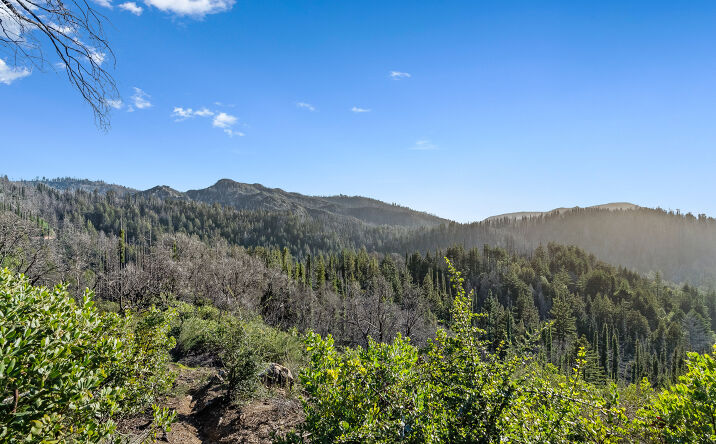 Pictures of Land property located at 21200 Big Basin Wy, Boulder Creek, CA 95006 for sales - image #1