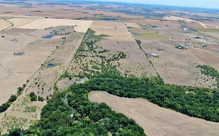 Pictures of Land property located at 19711 Janak Road, Coupland, TX 78615 for sales - image #1