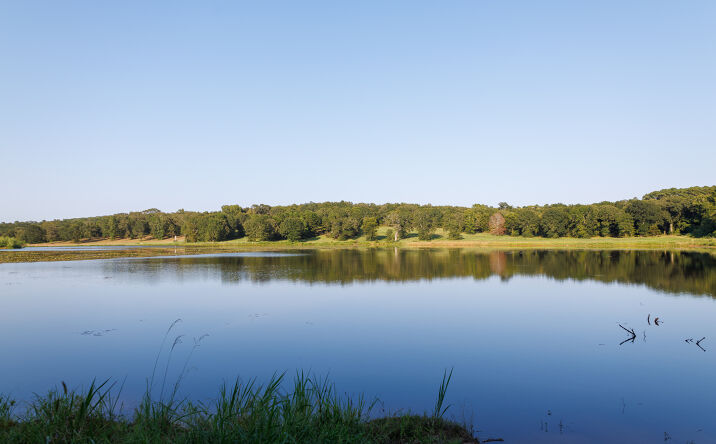 Pictures of Land property located at TBD CR 480, Lindale, TX 75771 for sales - image #1
