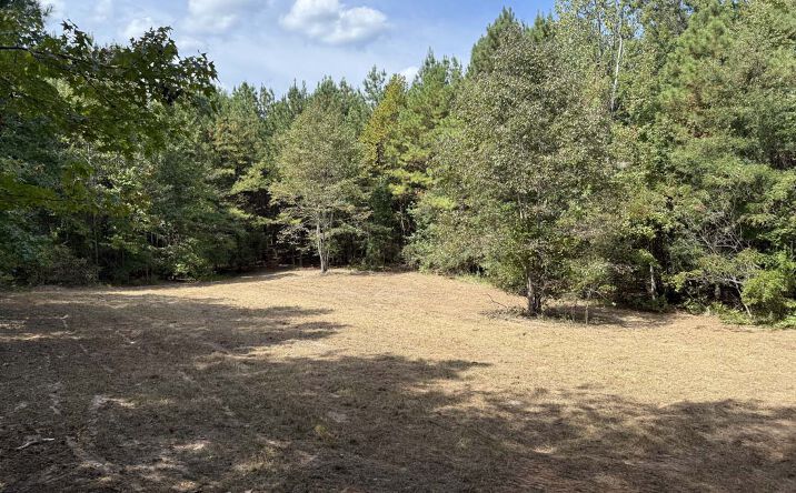 Pictures of Land property located at 2430 Myricks Mill Rd, Jeffersonville, GA 31044 for sales - image #1