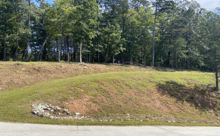 Pictures of Land property located at 0 Ridgeland Way, Mill Spring, NC 28756 for sales - image #1