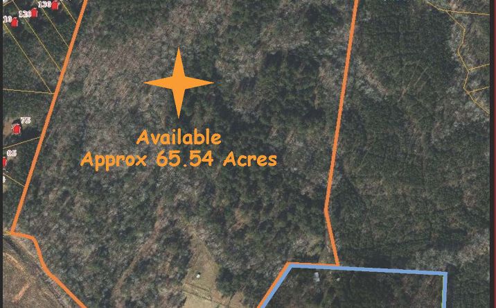 Pictures of Land property located at 0 Tom Wright Rd, Franklinton, NC 27525 for sales - image #1