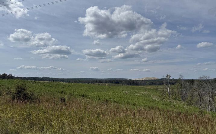 Pictures of Land property located at Myricks Mill Rd, Jeffersonville, GA 31044 for sales - image #1