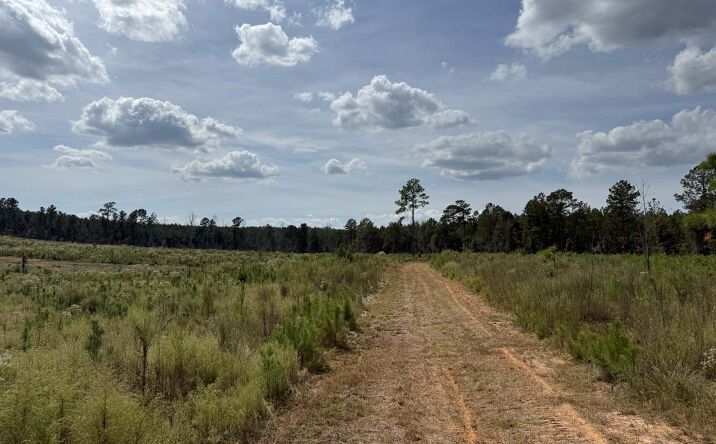 Pictures of Land property located at 1490 Myricks Mill Rd, Jeffersonville, GA 31044 for sales - image #1