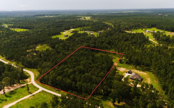 Pictures of Land property located at TBD Rolling Pines Drive, Livingston, TX 77351 for sales - image #1