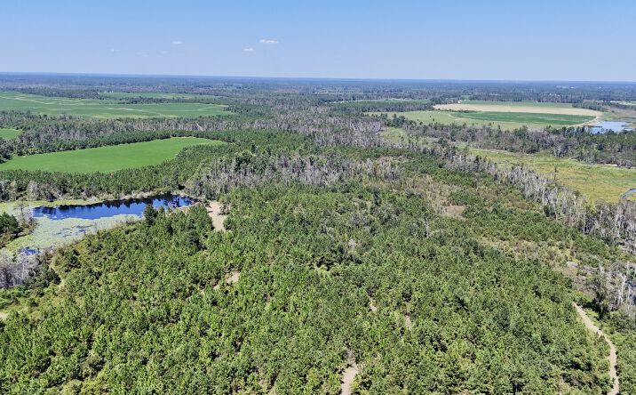 Pictures of Land property located at Rhonda Coleman Rd, Hazlehurst, GA 31539 for sales - image #1