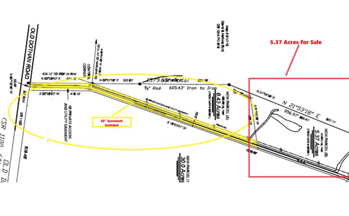 Pictures of Land property located at 4146 Old Dothan Road, Tabor City, NC 28463 for sales - image #1
