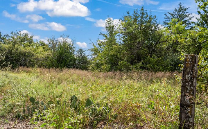 Pictures of Land property located at TBD 29.323 ac. S Hwy 101, Chico, TX 76431 for sales - image #1