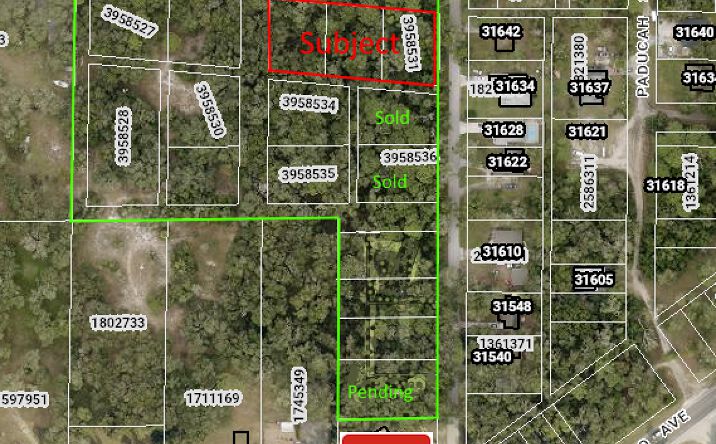 Pictures of Land property located at 32776 Niles St, Mount Plymouth, FL 32776 for sales - image #1