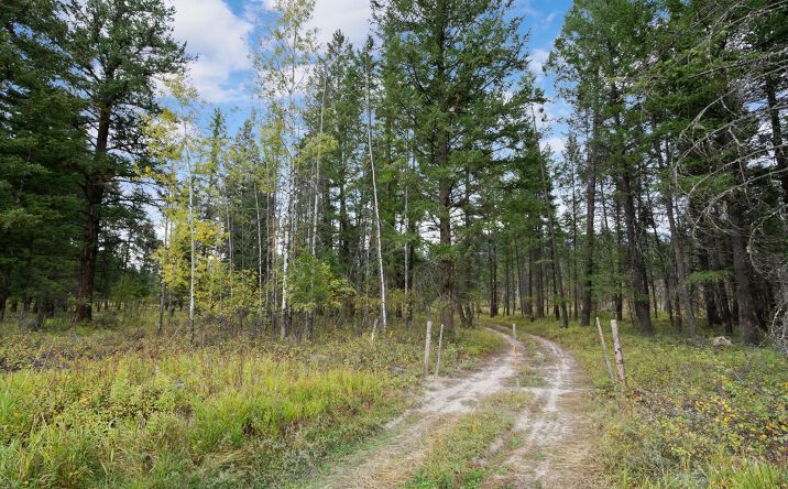 Pictures of Land property located at Nhn Hwy 93, Trego, MT 59934 for sales - image #1
