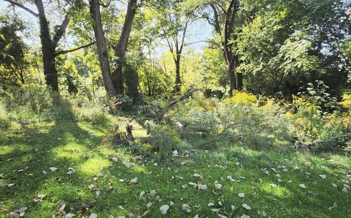 Pictures of Land property located at 756 Franklin Street, Valparaiso, IN 46383 for sales - image #1