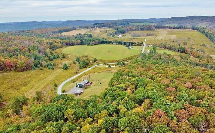 Pictures of Land property located at Kautz Road, Callicoon, NY 12723 for sales - image #1