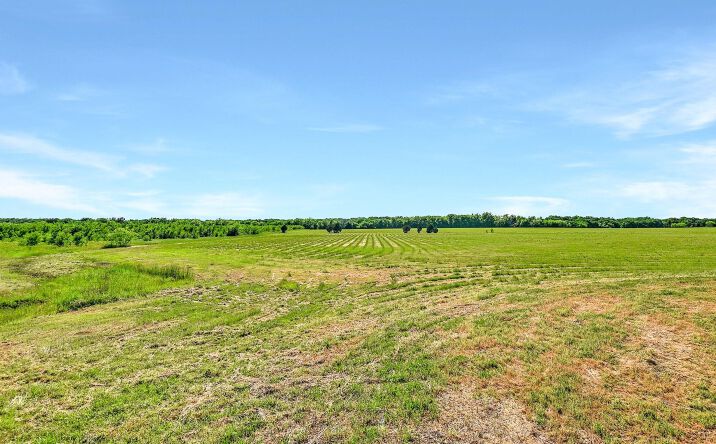 Pictures of Land property located at Airport Dr, Denison, TX 75020 for sales - image #1