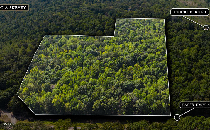 Pictures of Land property located at 2032 Paris Hwy 54, Dresden, TN 38225 for sales - image #1