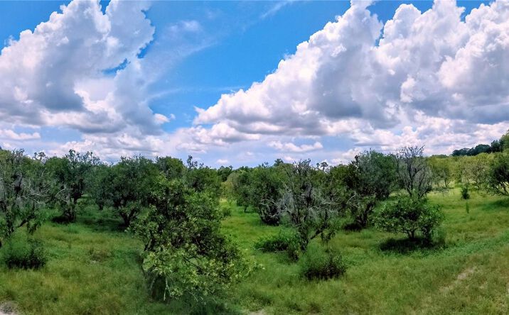 Pictures of Land property located at Holly  Hammock Rd, DeLeon Springs, FL 32130 for sales - image #1