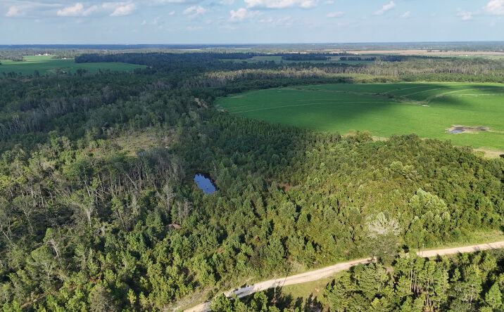 Pictures of Land property located at 0 Rhonda Coleman Rd, Hazlehurst, GA 31539 for sales - image #1