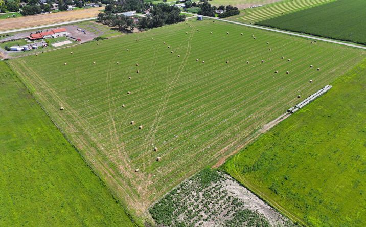 Pictures of Land property located at State Farm Road Long Acreage West, North Platte, NE 69101 for sales - image #1