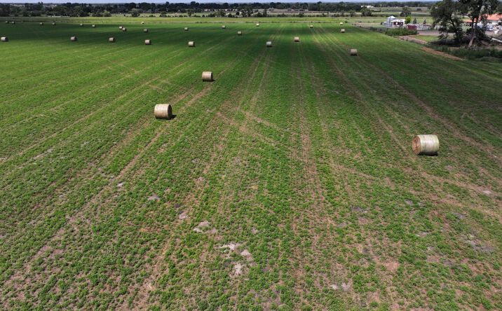 Pictures of Land property located at State Farm Road Long Acreage East, North Platte, NE 69101 for sales - image #1