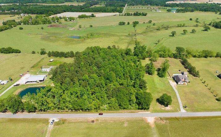 Pictures of Land property located at 0 #204691 Suggs Road, Headland, AL 36345 for sales - image #1