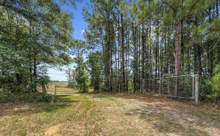 Pictures of Land property located at 4154 Hwy 131, Clayton, AL 36016 for sales - image #1