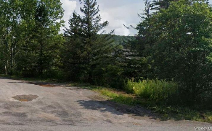 Pictures of Land property located at Crescent Hill Road, Andes, NY 13731 for sales - image #1