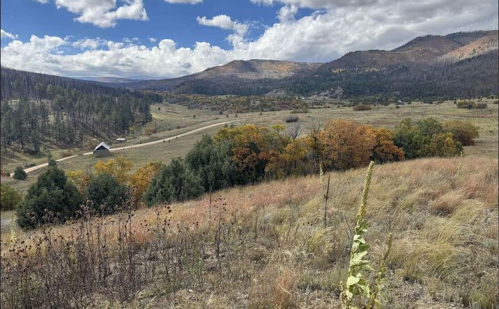 Pictures of Land property located at 21.745 Los Alamitos Road, Chacon, NM 87713 for sales - image #1