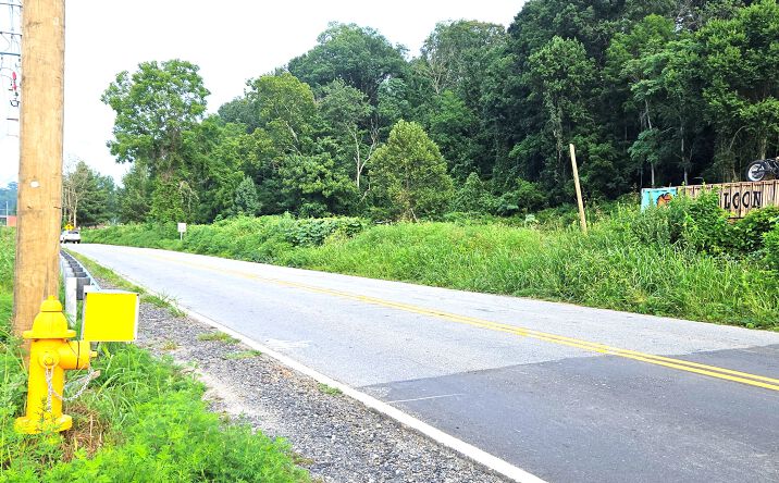 Pictures of Land property located at 0 Swannanoa River Rd., Asheville, NC 28803 for sales - image #1