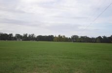 27366475