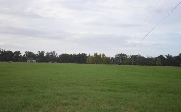 Pictures of Land property located at 5640 SW County Road 344, Trenton, FL 32693 for sales - image #1