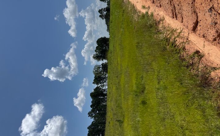 Pictures of Land property located at TBD Madison Lake Loop, Hillister, TX 75979 for sales - image #1