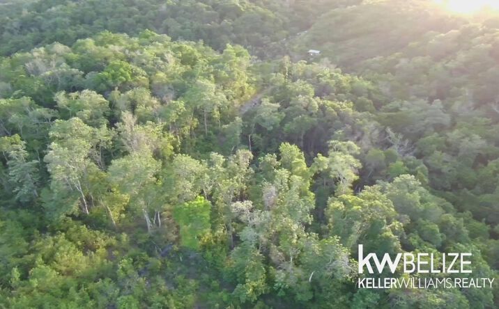 Pictures of Land property located at Jungle Lots Negroman Area, Belize, Belize 00000 for sales - image #1