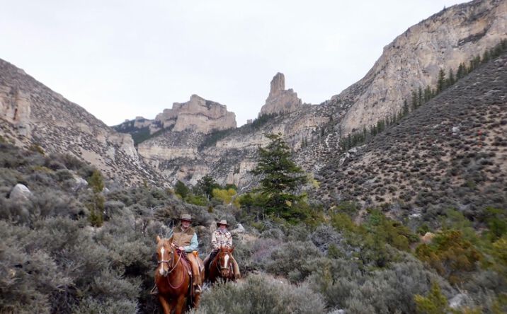 Pictures of Land property located at 3170 County Rd 40 1/2, Shell, WY 82441 for sales - image #1