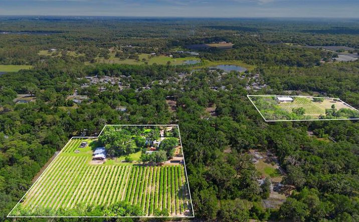 Pictures of Land property located at 1056 Reynolds Rd, De Leon Springs, FL 32130 for sales - image #1