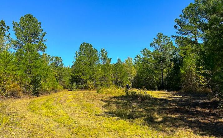 image of property at 727 SPURLINE RD S Columbus MS 39702-7042