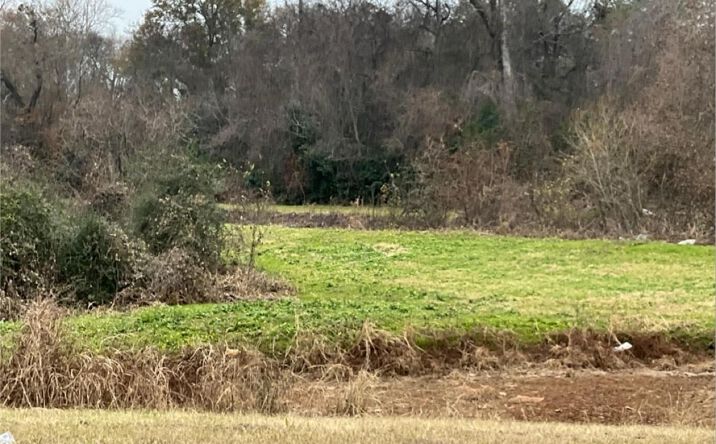 Pictures of Land property located at US Hwy 41 White Rd, Warner Robins, GA 31088 for sales - image #1