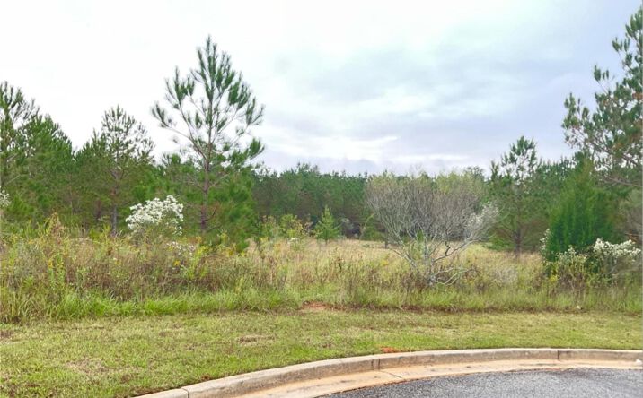 Pictures of Land property located at US HWY 41 Osigian Blvd, Warner Robins, GA 31088 for sales - image #1