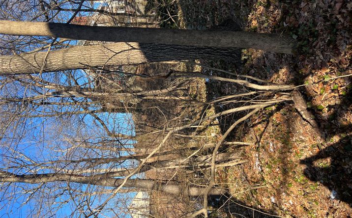 Pictures of Land, Multifamily property located at 102 Courter Avenue, Yonkers, NY 10705 for sales - image #1