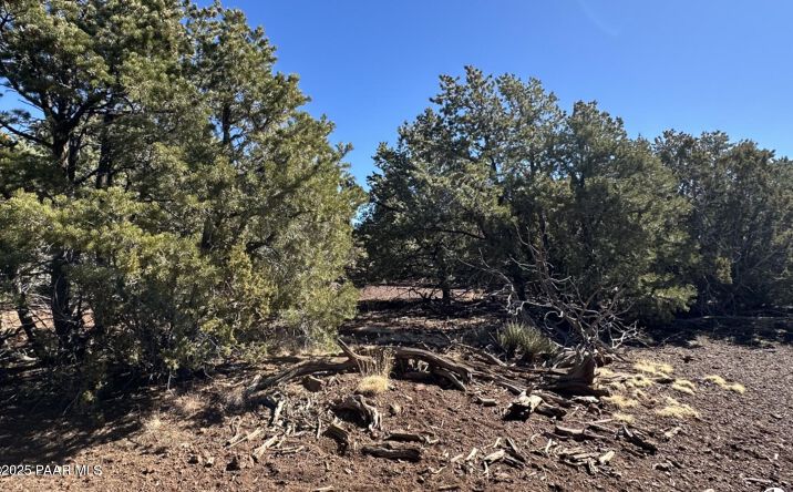 Pictures of Land, Multifamily property located at 3264 N Marilyn Way, Williams, AZ 86046 for sales - image #1
