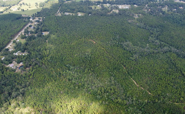 Pictures of Land property located at Tom Hopkins Rd, Mt. Vernon, AL 36560, Tom Hopkins Rd, Mt. Vernon, US null for sales - image #1