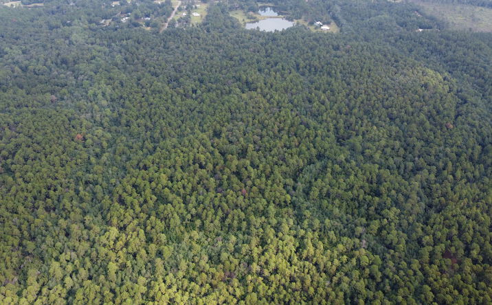 Pictures of Land property located at Busby Rd, Mobile, AL 36695 for sales - image #1