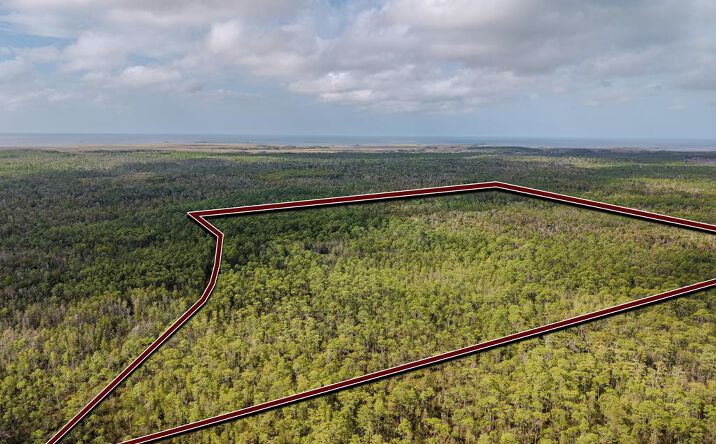 Pictures of Land property located at SW 741st St, Horseshoe Beach, FL 32648 for sales - image #1