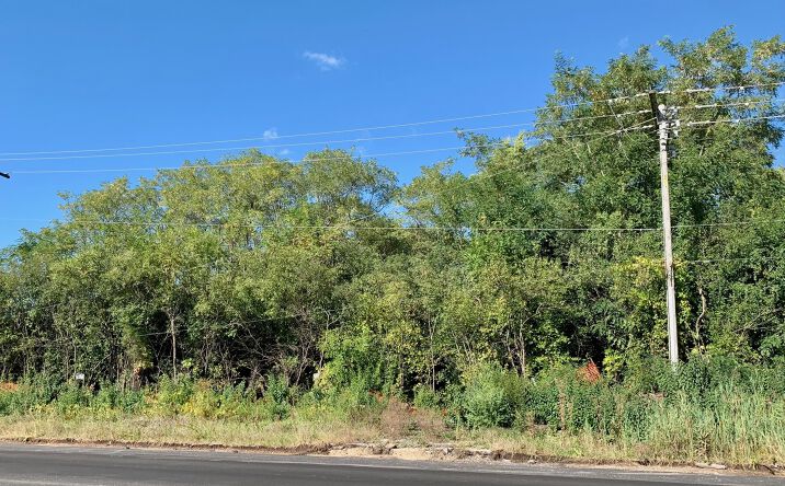 Pictures of Land property located at 460 W Irving Park Road, Roselle, IL 60172 for sales - image #1