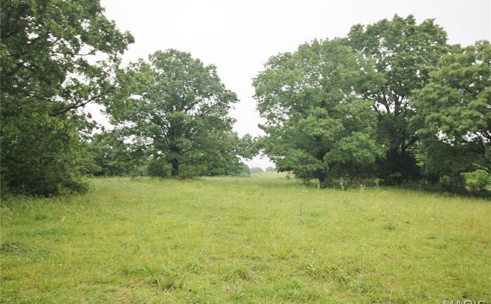 Pictures of Land property located at 16290 Maries Rd 303, Vienna, MO 65582 for sales - image #1
