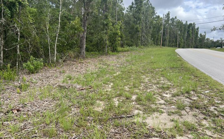Pictures of Mixed Use property located at 00 SE 3RD Avenue, Keystone Heights, FL 32656 for sales - image #1